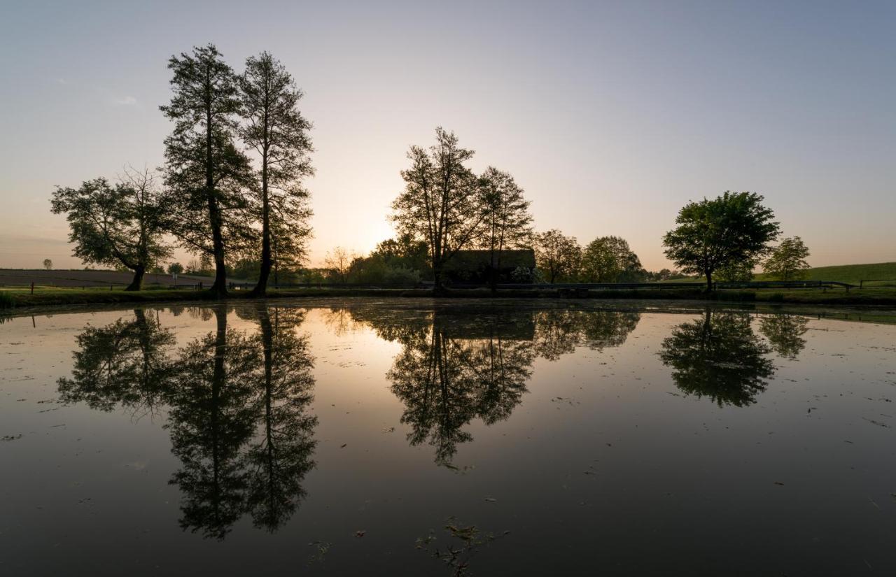 Готель Mokrice Castle Estate Obrezje Екстер'єр фото