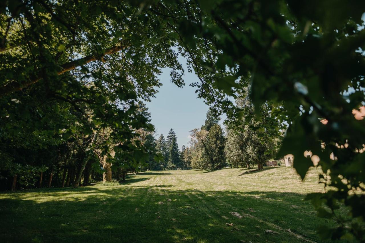 Готель Mokrice Castle Estate Obrezje Екстер'єр фото