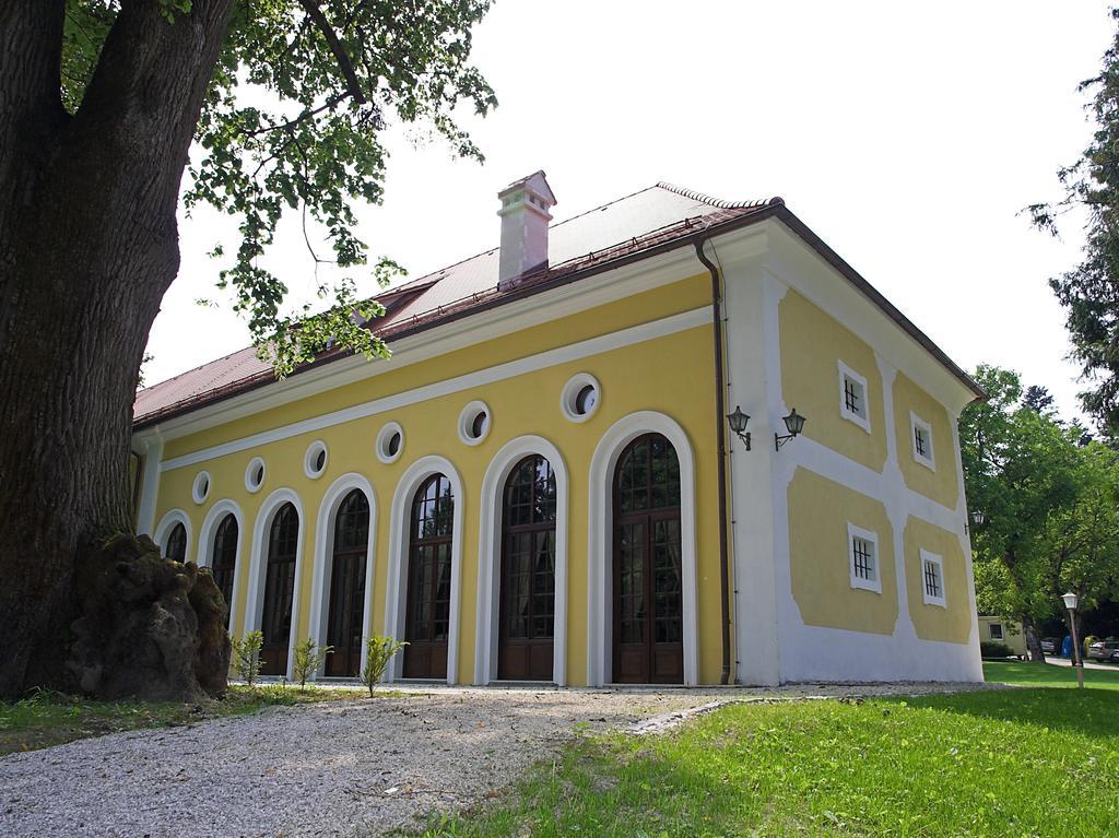 Готель Mokrice Castle Estate Obrezje Екстер'єр фото